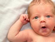 Воспитываем вундеркинда: как развивать ребенка с рождения Развивающие занятия для грудничков по месяцам