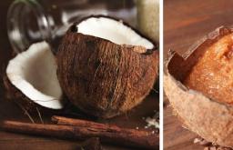 Подставка для ручек из кокосового ореха Что можно сделать кокоса своими руками
